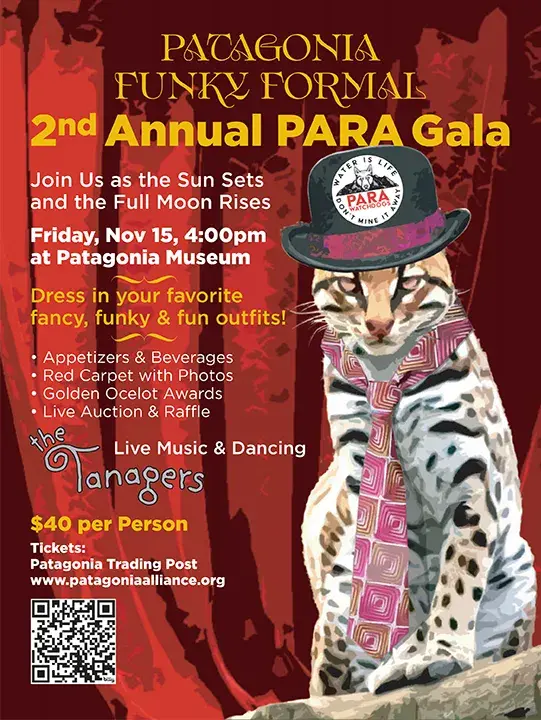 PARA-Gala2024-Flyer-OPT