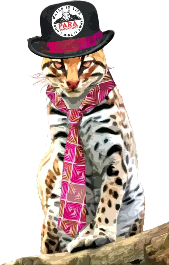 Ocelot dressed up